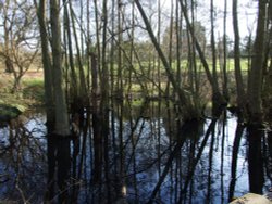 East Carlton Country Park, Corby, Northamptonshire