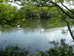 Tehidy Country Park