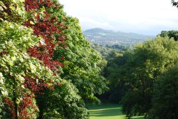 View from Haden Hill Park towards Halesowen