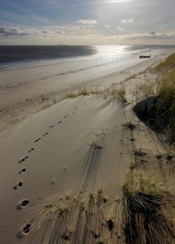 Spurn Point 1