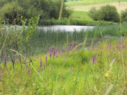 Killashandra Lake