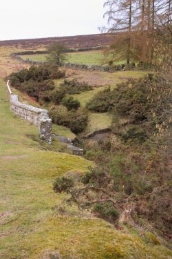 Hutton Le Hole 5