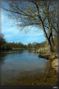 Ladybridge Lake