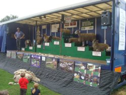 Ripley Show, Aug 2011