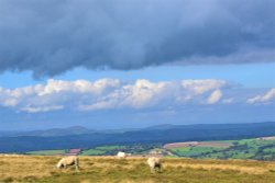 Near the top of Titterstone Clee