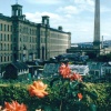 A picture of Bradford