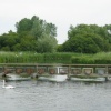 River Test at Longstock, Hampshire