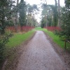 Westonbirt Arboretum. Winter Jan 2005