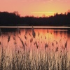 Sunset over Virginia Water Lake, Surrey