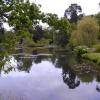 Longstock Water Gardens, Longstock, Hampshire