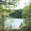 Swithland Woods, Leicestershire