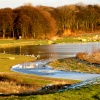 Cold, frosty evening at Herrington Country Park.