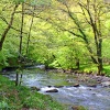 The Edge of Exmoor