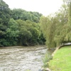 Beside Bickleigh Bridge