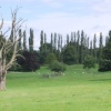 Farmland at Brooksby