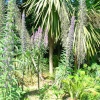 Henstead Exotic Gardens