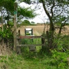 A popular ramblers walk beside the marshes leading to Covehithe