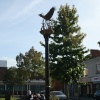 The pheonix statue in The Square