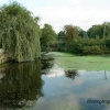 Wramplingham Pond.