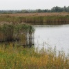 Strumpshaw Fen