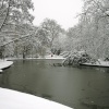 A snowy park