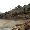 The edge of the grounds overlooking Traeth Bach.