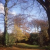 Autumn colours at the County Museum Grounds, Abergwili