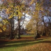 Autumn colours at the County Museum grounds at Abergwili, Carmarthen