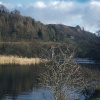 Autumn at Bishops Ponds, Abergwili in 1972