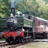 Gwili Railway near Bronwydd Arms