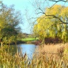 Hellidon Lake