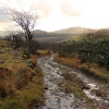 Rugged track, Duddon Valley nr Duddon Bridge