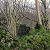 Ruins of Old Hall, Duddon Valley nr Duddon Bridge