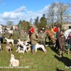 Beaufort Hunt Meet, Sopworth, Wiltshire 2016