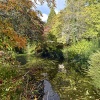 The Botanical Gardens, Bath