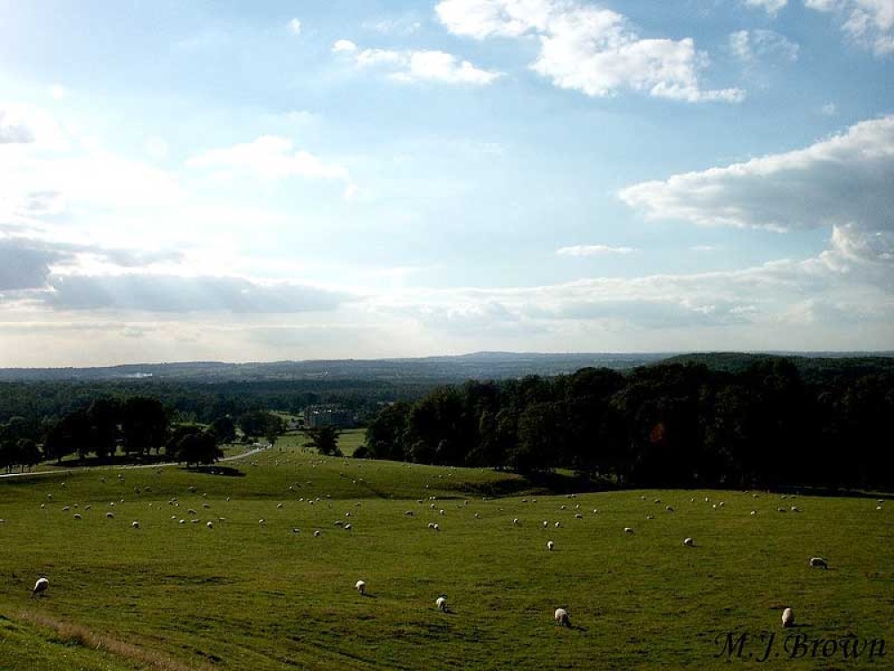 A picture of Longleat House & Safari Park