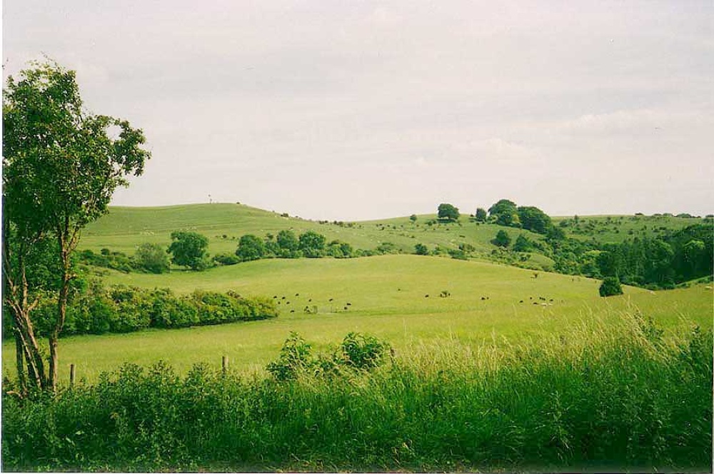 Pegsden Hills on the Herfordshire - Bedfordshire border