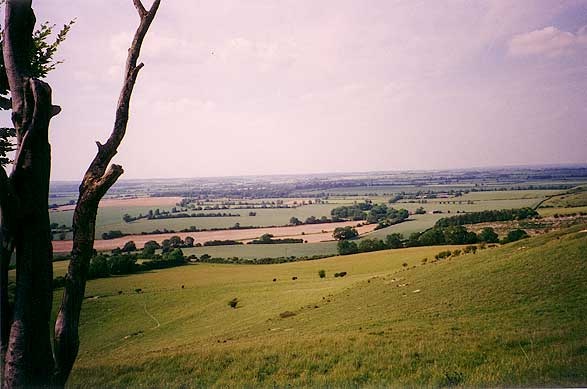 Pegsden Hills on the Herfordshire - Bedfordshire border