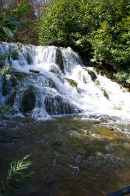 Falls at Blenheim