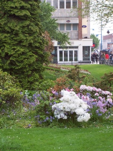 This one includes the attractive flowers of Palmerston Park while taking in the busy street scene.