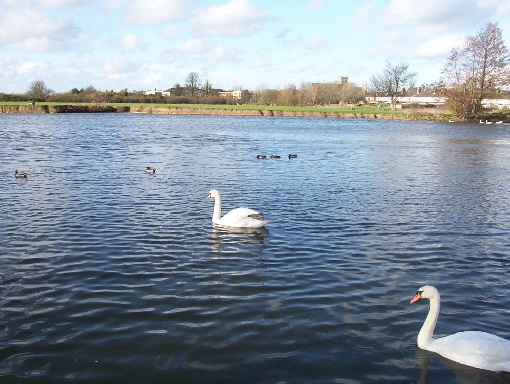 Thames river in Windsor