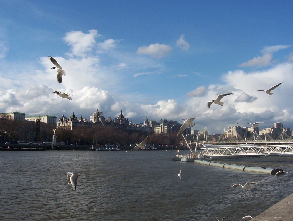 Thames river near London Eye