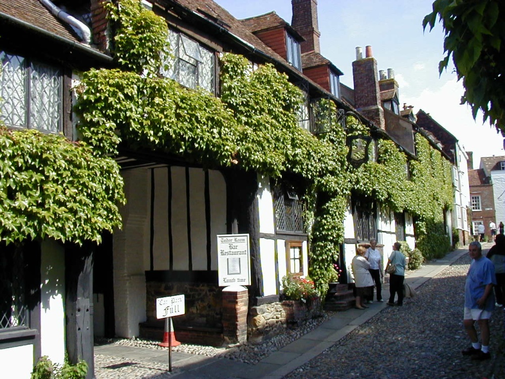 A picture of Rye