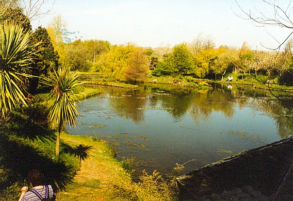 Bennets Water Gardens