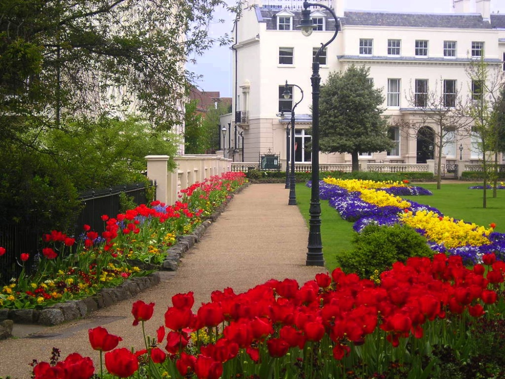 Flowers in pretty Georgian terrace