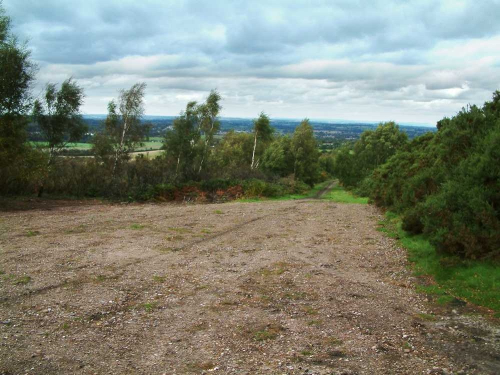 Cannock Chase