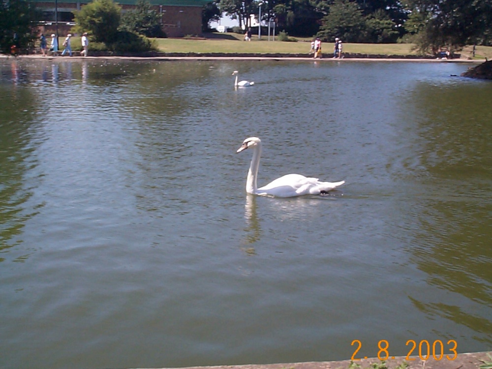 Boating Lake 2003