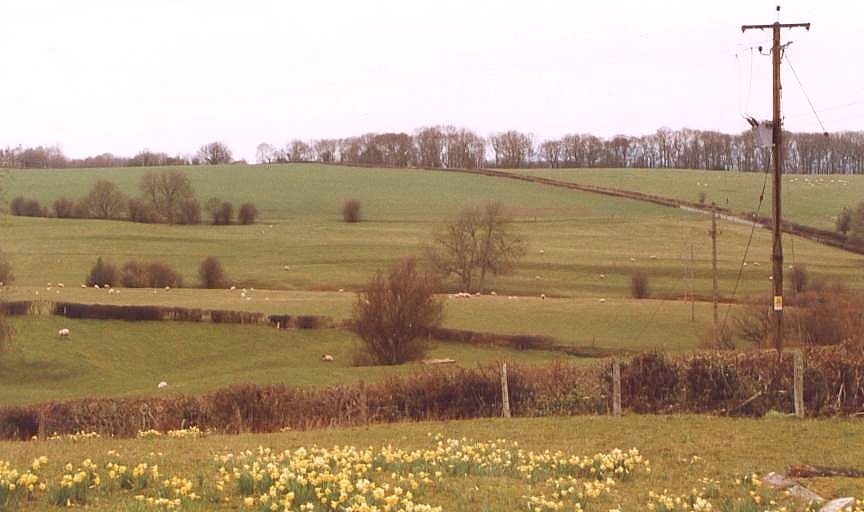 Photograph of A picture of Wormsley