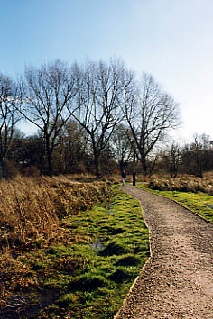 Morden Hall Park