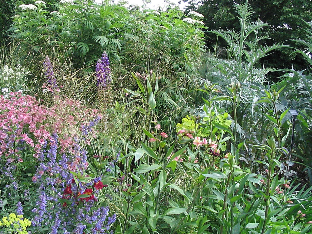 A picture of Dorothy Clive Garden photo by Stephen Walker